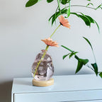 Plant Propagation Station Glass Planter Terrarium Jar with Wooden Stand Adjustable, Unique Flower Vase for Hydroponic Plants Cuttings, Plant Lover Gifts Home Boho Decor (Pink)