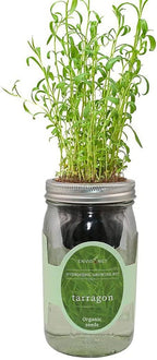 Hydroponic Herb Growing Kit, Self-Watering Mason Jar Herb Garden Starter Kit Indoor, Windowsill Herbs Garden, New Christmas Grden Gift for Mom (Tarragon)