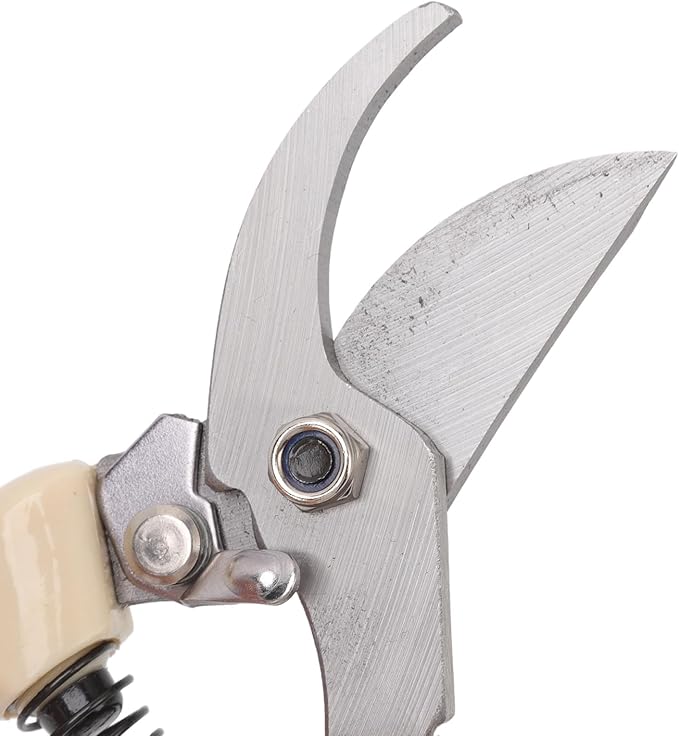 5 Piece Bonsai Tool Set, Carbon Steel Bonsai Scissors Rake Branch Cutter Pruning Shears Pliers Garden Tools