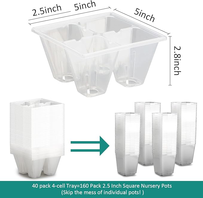 RooTrimmer 40 Pack Reusable 4-Cell Seed Starter Trays with Large Drainage Holes - Clear Transparent Trays for Root Growth Monitoring, Avoids Overwatering, Easy Transplant, Fits Standard 1020 Trays