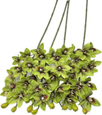 4pcs Green Cymbidium Orchid Flower 10 Heads Artificial Fake Latex Phalaenopsis Flowers for Wedding Centerpieces Home Hotel Floral Arrangment Decor (Green)