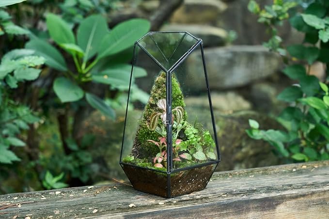 FISCRAT Tabletop Glass Terrarium -5"x5"x10.8" Black Metal Frame Indoor Plant Display Container with Openable Door, Low--Maintenance Succulent Ecosystem, Space Saving Art Decor (Plants Not Included)