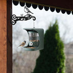 4-Pack Aesthetic Wall Plant Hanger Indoor and Outdoor – 10 Inch Metal Hanging Plant Bracket with Beautiful Bird Pattern – Heavy Duty Plant Hooks for Hanging Plants, Bird Feeder, Wind Chime, Lantern