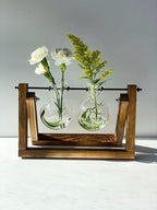 Kingbuy Glass Desktop Planter with Retro Wooden Stand and Plant Terrarium vase (2 Bulbs) for Indoor Office Desk Decor Accessories