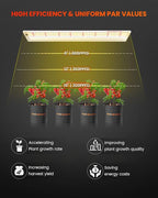 Spider Farmer SF600 LED Grow Lights Sunlike Full Spectrum Plant Growing Lamp for Indoor Plants Seeding Veg Flower Energy Saving & High Efficiency Grow Light for 2x4 ft Coverage