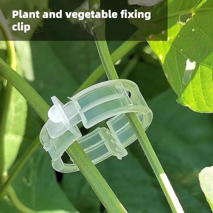100PCS Secured Plastic Plant Clip, Upgrade Grape and Tomato Vine, Garden Clips for Climbing Plants, Plastic Trellis Clips Plant Support Clips Tomato Grape Vine Vegetables Plant Fixing Clips
