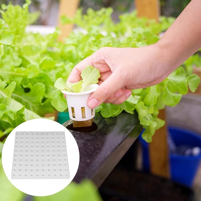 200 Pack Hydroponic Sponge Planting Tool Square Seedling Sponges Greenhouse Hydroponic Sponge Hydroponic Vegetable Planting Sponge for Small Bud Growth