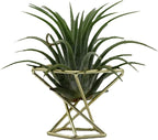 Geometric Air Plant Holder Airplants Rack Metal Plants Stand Planter Shelves Himmeli Living Decor Tillandsia Pot Containers (Gold 3pcs)