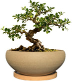 MUZHI Round Unglazed Ceramic Bonsai Pot with Bamboo Tray, Large Rough Pottery Succulent Planter with Drainage Hole 6.1 inch