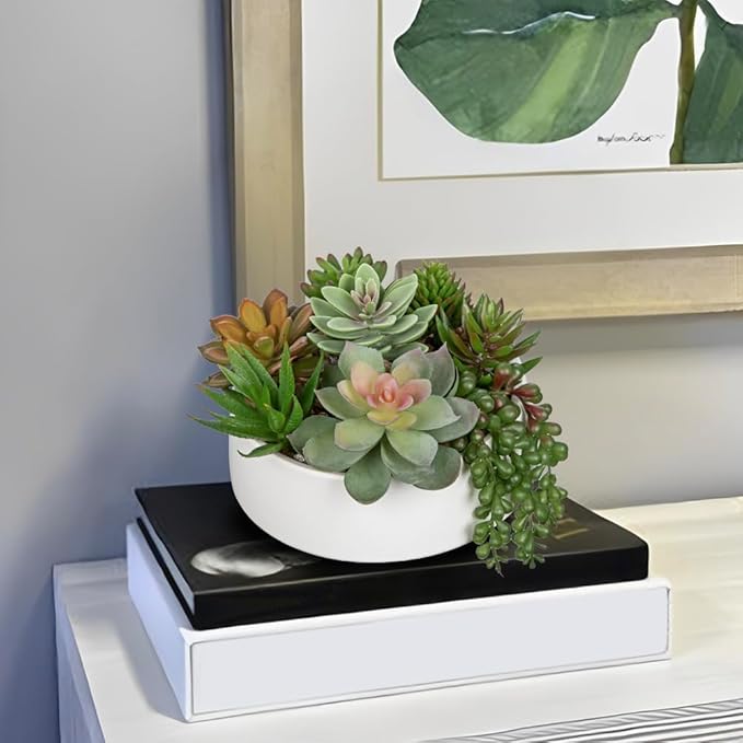 DILATATA Artificial Succulent Plants in Pot 5.5 Inch Fake Succulents Arrangement Potted Plant in White Ceramic Planter Bowl for Home Office Desk Shelf Living Room Bedroom Bathroom Decor