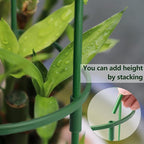 36 Packs Plant Support Stake, Half Round Stackable 3 Tier Garden Flower Support, Plant Stakes for Indoor Outdoor Plants Tomato,Monstera, Peony, Hydrangea, Climbing Plants