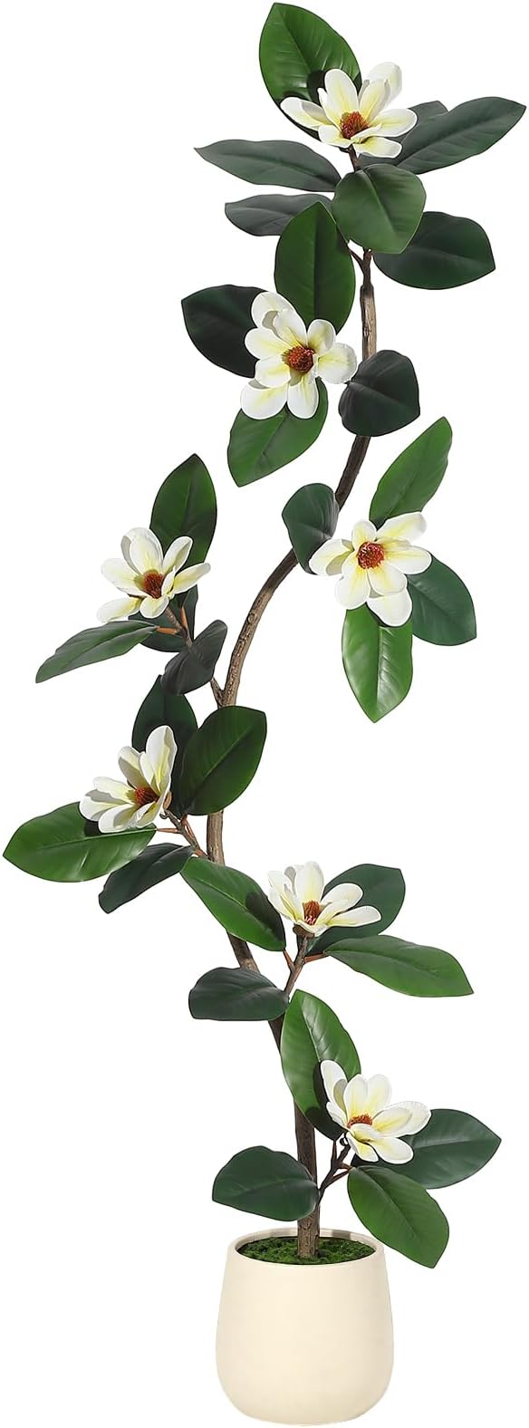 5ft Artificial Rubber Tree with 7 Pcs Magnolia Flowers,Tall Fake Tree with White Planter and Moss Decor,Faux Plants Indoor for Home Living Room Porch Decor