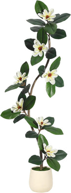 5ft Artificial Rubber Tree with 7 Pcs Magnolia Flowers,Tall Fake Tree with White Planter and Moss Decor,Faux Plants Indoor for Home Living Room Porch Decor