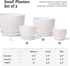 STHIE Ceramic Plant Pots with Drainage Holes and Saucers, Round Flower Pots for Indoor Plant, Diameter 3.3/4.3/5.5 Inches Small Flower Planters Set of 3