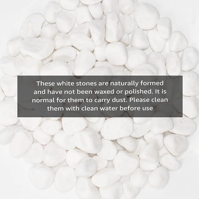 White Natural River Rocks, 1-1.5 Inch Decorative Stones for Plants, Garden, and Landscaping – 10LB, Ideal for Fish Tanks, Vases, Crafting, Home Decor, and Outdoor Landscaping