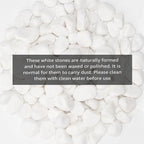 White Natural River Rocks, 1-1.5 Inch Decorative Stones for Plants, Garden, and Landscaping – 10LB, Ideal for Fish Tanks, Vases, Crafting, Home Decor, and Outdoor Landscaping