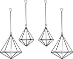 Geometric Air Plant Hangers - 4 Pack Black Metal Tillandsia Display Cages, Hanging Air Plant Holders for Indoor Plants Decor, Air Fern Frame