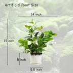 16 inch Fake Plants Indoor Realistic Thick Evergreen Leaf Artificial Plant with Black and White Creamic Pot for Farmhouse Home Room Bedroom Kitchen Office Desk Decor