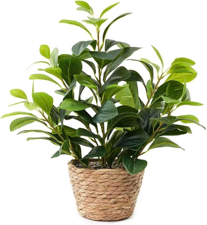 16 inch Artificial Peperomia Potted Plant in Woven Basket Planter Lifelike Two Tone Green Leaves Faux Indoor Branches for Home Office Desk Shelf Bathroom Table Decor
