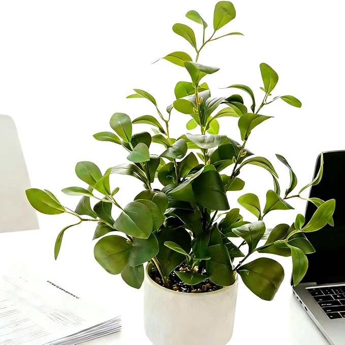 19'' Artificial Ficus Plant in White Textured Ceramic Pot Realistic Faux Greenery with Lifelike Leaves Fake Plants for Indoor Home Office Bathroom Shelf Desk Tabletop Decor
