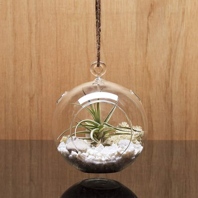 WGV Hanging Terrarium Globe, Width 4", Height 4.75", DIY Air Succulent Planter, Clear Glass Vase Orb with Flat Bottom, Candle Holder for Windowsill Outdoor Garden Decor, 6 Pieces Bulk