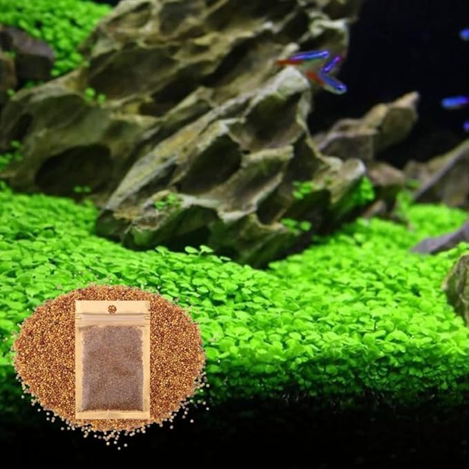 Freshwater Aquarium Decor, Easy Growing Dwarf Carpet for Fish Tank/Terrarium, Natural Aquatic Plant Growth Material – 1 Pack (Love Grass)