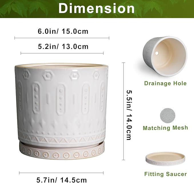 Ceramic Planter, 6 Inch Pot for Plants with Drainage Holes and Tray, Round Plant Pots for Indoor Outdoor Plants, Boho Decorative Flower Pots, Home Room Decor, Gifts for Women, White