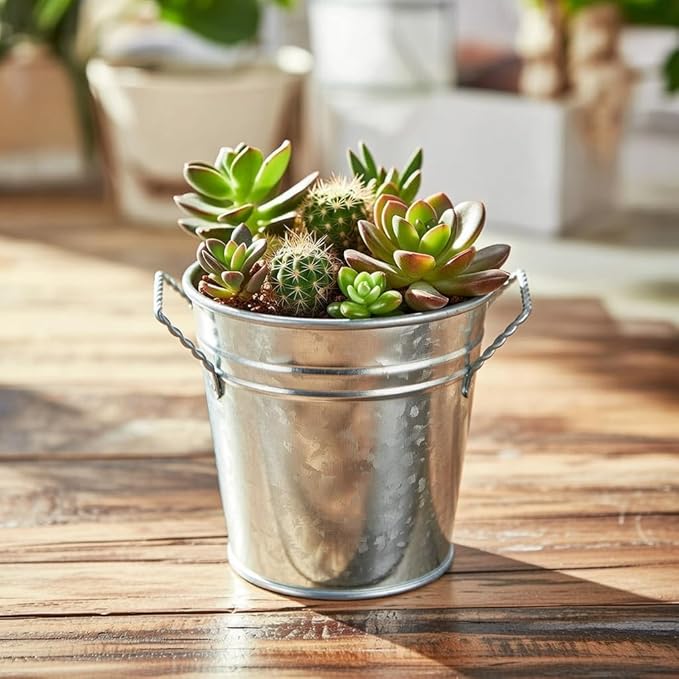 Hosley 3 Pack of Galvanized Planters 5" Dia x 4.5" H Durable Metal Plant Pots for Floral Arrangements Indoor and Outdoor Gardening with Vintage-Inspired Charm Rustic