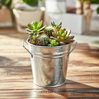 Hosley 3 Pack of Galvanized Planters 5" Dia x 4.5" H Durable Metal Plant Pots for Floral Arrangements Indoor and Outdoor Gardening with Vintage-Inspired Charm Rustic