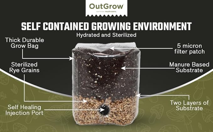 Mini All in One Mushroom Grow Bag