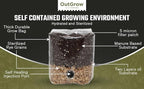 Mini All in One Mushroom Grow Bag