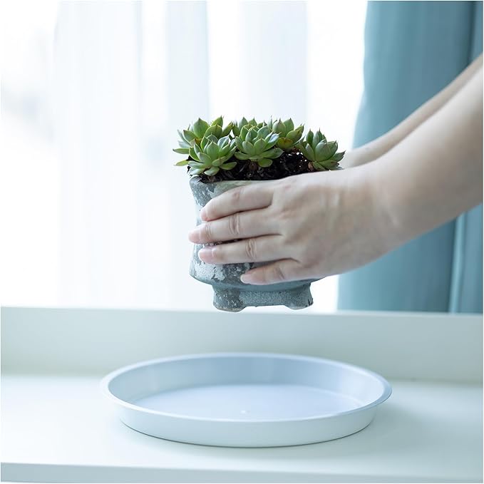 6pcs White Plastic Plant Saucers (8 inch) - Heavy Duty Indoor Plant Trays for Pots with Water Drainage, Drip Catcher & Decor (Set of 6 Round Saucers)