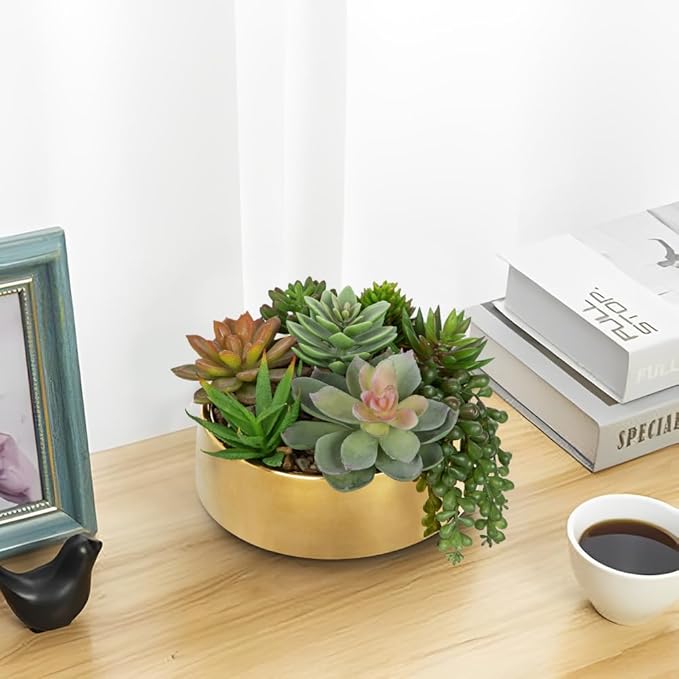 DILATATA Artificial Succulent Plants in Pot 5.5 Inch Fake Succulents Arrangement Potted Plant in Gold Ceramic Planter Bowl for Home Office Desk Shelf Living Room Bedroom Bathroom Decor