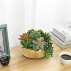 DILATATA Artificial Succulent Plants in Pot 5.5 Inch Fake Succulents Arrangement Potted Plant in Gold Ceramic Planter Bowl for Home Office Desk Shelf Living Room Bedroom Bathroom Decor