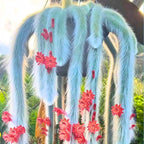 Trailing Monkey Tail Cactus Live Plant, Rare Hanging Cactus Succulent, 5-8 Inch Tall Well-Rooted Bareroot