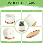 ZOUTOG Succulent Pots 3.1 Inch,8 Pack Succulent Planters,Small Pots for Plants with Drainage and Tray,White Ceramic Flower Planters for Indoor Plants,Home,Office,Desk