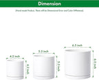 D'vine Dev White Terracotta Pots for Plants, 4.2 Inch 5.3 Inch 6.5 Inch, Succulent Planter Pot with Drainage and Saucer, 40-T-A-1
