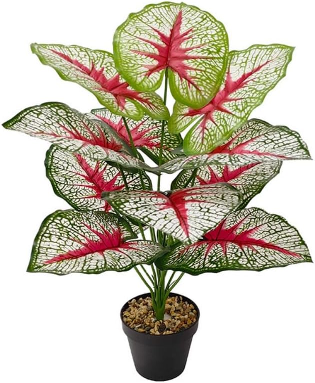 Artificial Caladium Plant with Red and Green Leaves, Red Leaf Artificial Plants Decoration Simulated Bonsai Potted Decor Home Room Party Wedding Office Floor (White(No Flowerpot), 60cm)