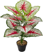 Artificial Caladium Plant with Red and Green Leaves, Red Leaf Artificial Plants Decoration Simulated Bonsai Potted Decor Home Room Party Wedding Office Floor (White(No Flowerpot), 60cm)