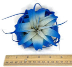 XL Xerographica Colored Air Plant, Live Tillandsia House Plant, Easy Care Indoor Outdoor, Great Gift, Healthy Arrival Guaranteed (Blue)