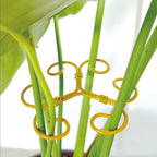 4Pcs Gold Plant Stem Support, Stable Support Stakes for Plants Stabilize, Outdoor & Indoor & Garden Plant Stakes for Healthy Growth (Flower Shaped Bracket B)