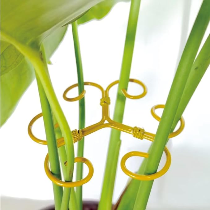 4Pcs Gold Plant Stem Support, Stable Support Stakes for Plants Stabilize, Outdoor & Indoor & Garden Plant Stakes for Healthy Growth (Flower Shaped Bracket B)