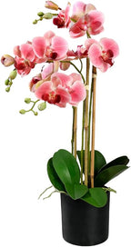 Serene Spaces Living 3 Pink Realistic Phalaenopsis Orchids in Black Plastic Pot, Artificial Potted Flowers - Beautiful Entryway Vase, Foyer Table Décor, Great Gift, Measures 5" Diameter & 26" Tall