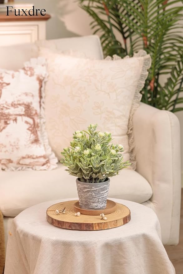 2 Pack Small Desk Plants, Artificial Bathroom Plants Decor with Flower in Vintage Melamine Pots, Faux Plants Indoor for Shelf Decor in Home Office, and Spring Decor (Ivory White)
