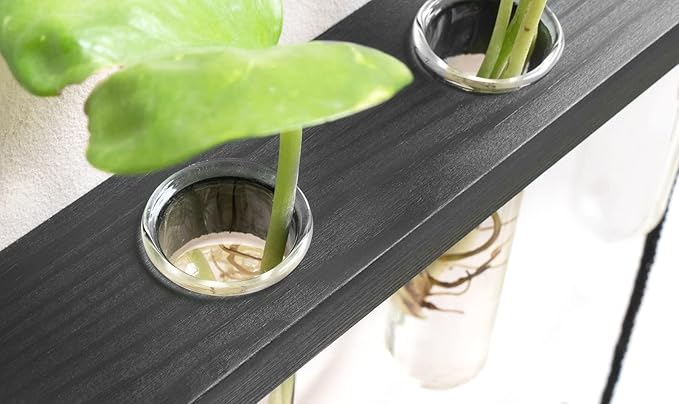 Mkono 3 Tiered Wall Hanging Plant Terrarium with Wooden Stand Mini Test Tube Flower Vase Glass Planter for Hydroponic Plant Cutting Home Garden Office Decor Gift