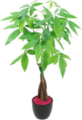 Athena's Garden Money Tree Pachira Indoor Live Plan with Ceramic Planter 18 Inches Tall, Black Pot - Red Rocks, Medium