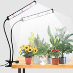 GooingTop Grow Light 100W 6000K, Super Bright White Desktop Clip Plant Lamp for Seedlings Succulents Seeds Starting Indoor Plants Growing,Bendable Gooseneck & Timer 4 8 12 H