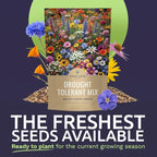 Drought Tolerant Wildflowers Mix – Bulk 1 Pound Bag – Over 120,000 Open Pollinated Non-GMO Seeds – 21 Different Dryland Species