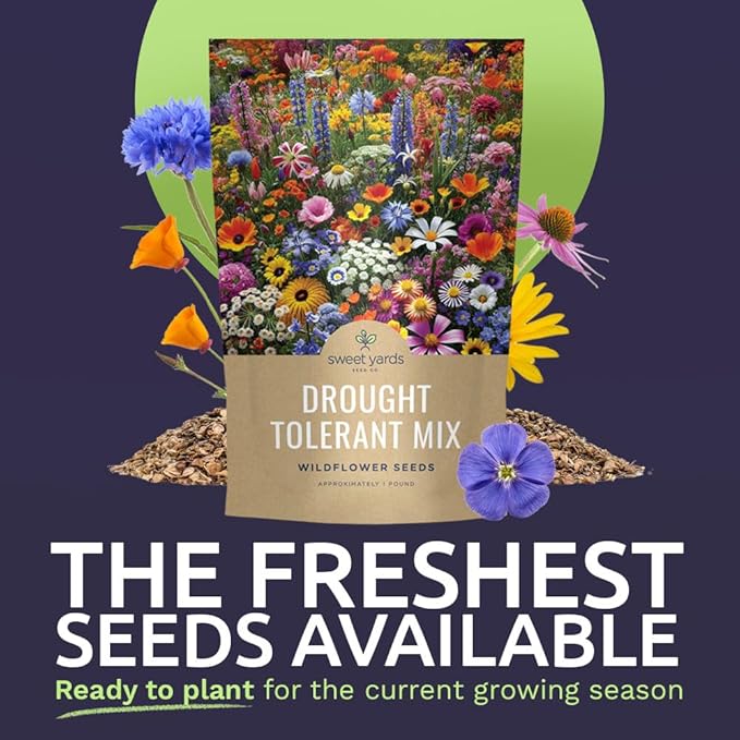 Drought Tolerant Wildflowers Mix – Bulk 1 Pound Bag – Over 120,000 Open Pollinated Non-GMO Seeds – 21 Different Dryland Species