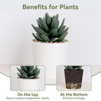 Pulovin 10 lbs Pebbles for Indoor Plants, Succulent Rocks, 3/8" Polished Pebbles for Bamboo, Vase, Terrarium, Natural Decorative Small River Rocks for Crafts, Cactus, Outdoor Garden Landscaping
